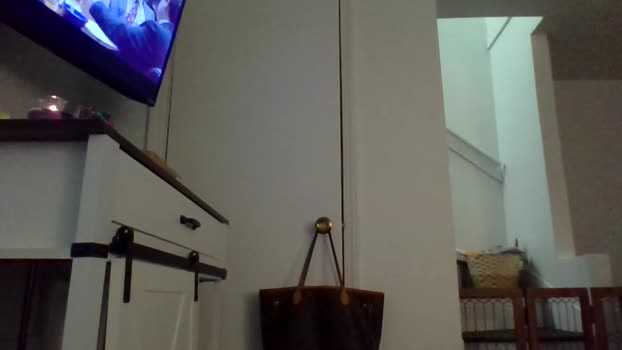 princessandthedingo Chaturbate Couple 08-02-2025