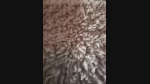 The_Snowwhitee StripChat Female 18-02-2025