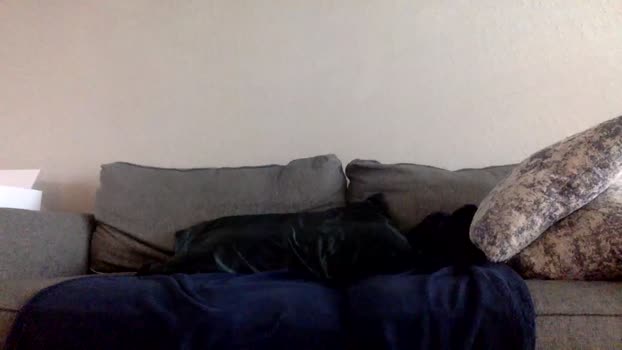 ccmanrivs120 10-03-2025 video gay