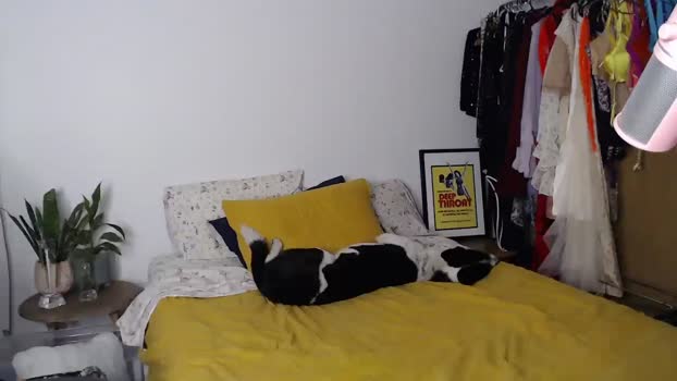 UWorshipMe MyFreeCams Female 12-03-2025
