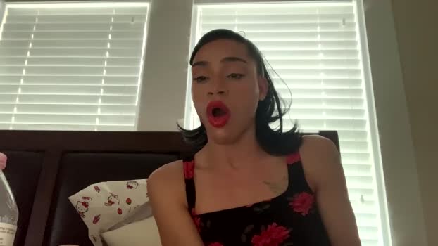 dynasty313 nasty Webcam SHOW @ Chaturbate 20-03-2025
