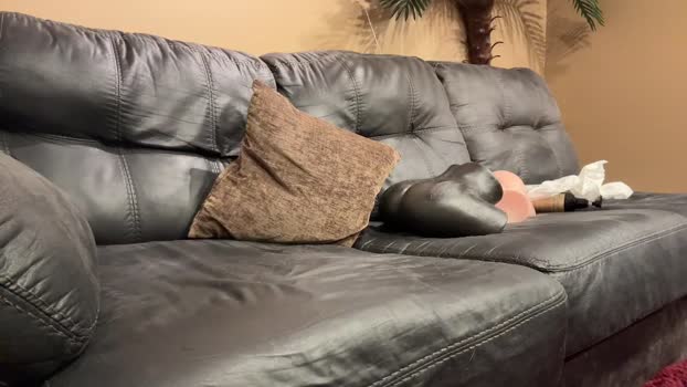 alphazack14 17-04-2025 video sexykitty