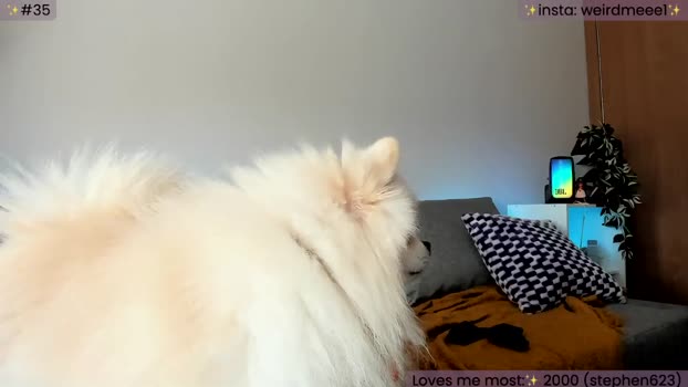 WeirdsGoddess MyFreeCams Female 19-04-2025