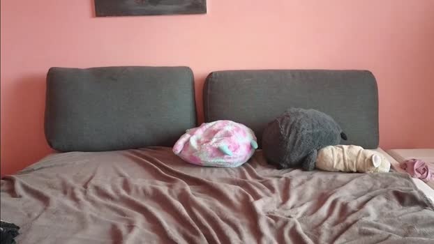 katusha008 Chaturbate Couple 23-04-2025