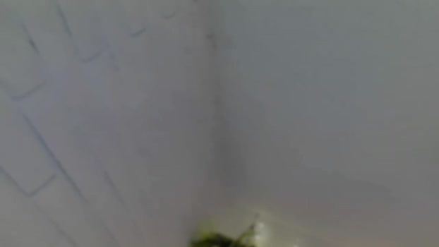 hercockisbigger natural Webcam SHOW @ Chaturbate 26-04-2025