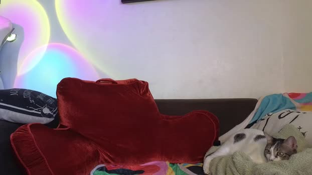 indiana_rouge sexyfeet Webcam SHOW @ Chaturbate 30-04-2025