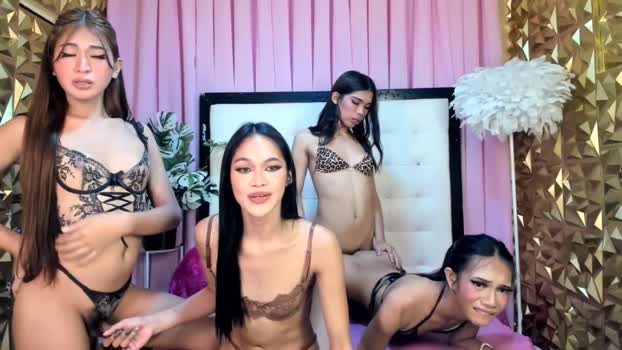 mockingbird_sissymaryjane bigass Webcam SHOW @ Chaturbate 03-05-2025