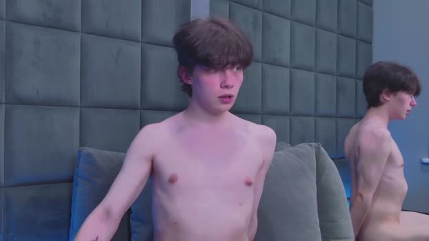 willsinn_