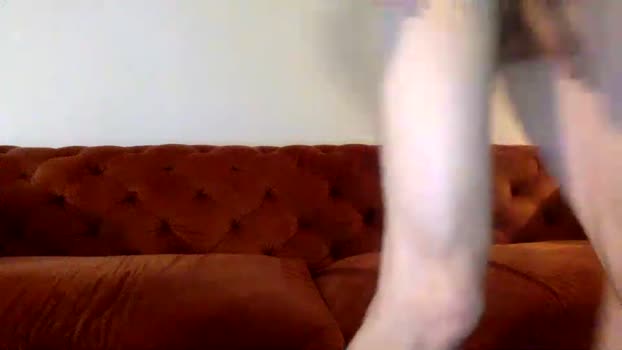 change340 24-05-2025 video oral