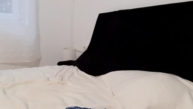 apollobest77 30-05-2025 video show