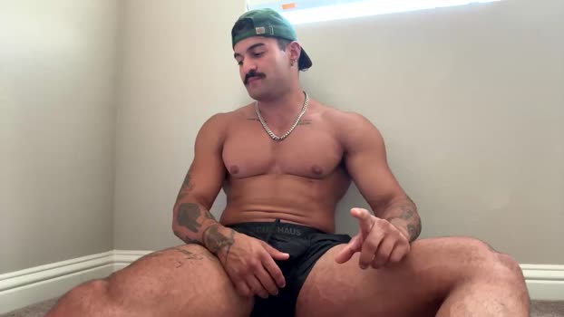ryanshafiee