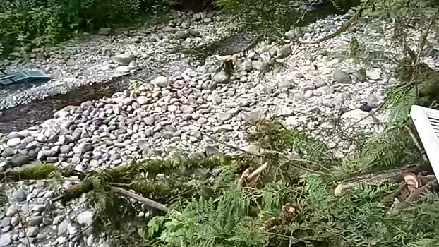 info_chat striptease Webcam SHOW @ Chaturbate 17-06-2025
