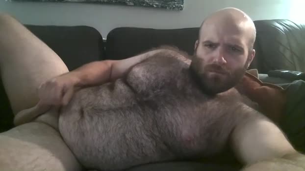 hairiestbear