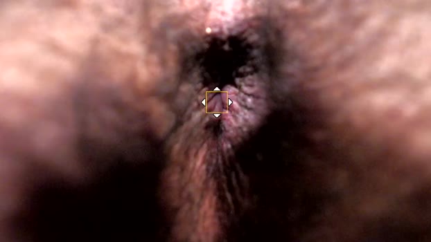 louivmane fuckface Webcam SHOW @ Chaturbate 05-07-2025