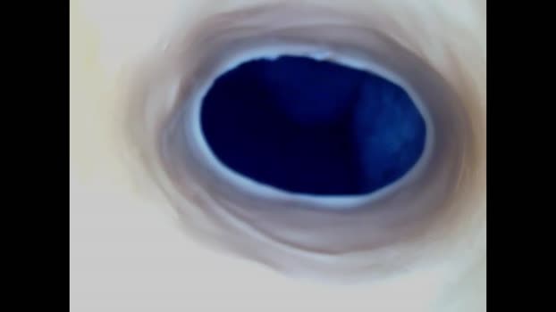 paulainoscente harddick Webcam SHOW @ Chaturbate 09-07-2025