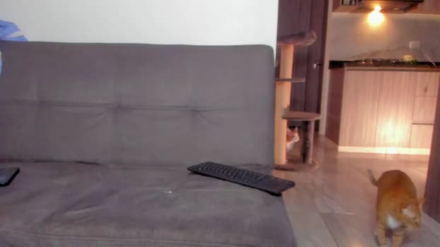 valeriabunny Porn Webcam SHOW @ Chaturbate 09-07-2025