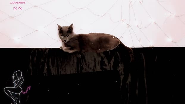 alicia_kitten Chaturbate Couple 10-07-2025