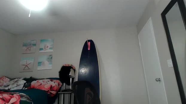 dickmonsta69 analsex Webcam SHOW @ Chaturbate 15-07-2025
