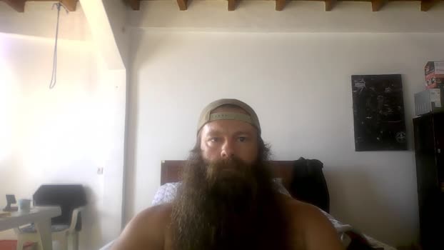 beardeddonkey88