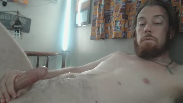 labigdog279457