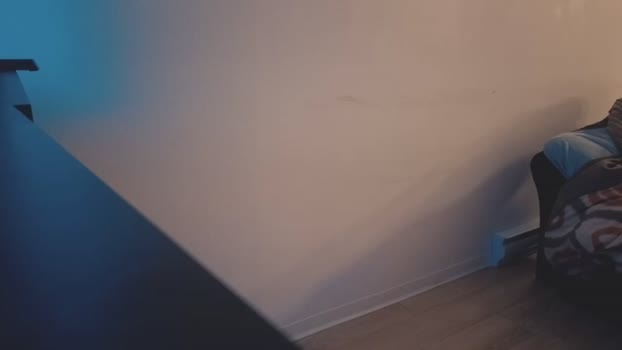 19reddragon86 22-07-2025 video play