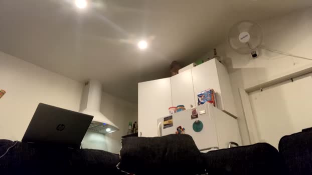 onthecumup69 22-07-2025 video jackoff