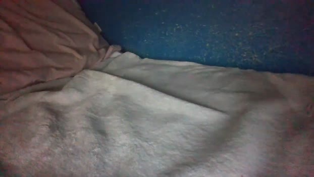 lomascok23 23-07-2025 video squirt