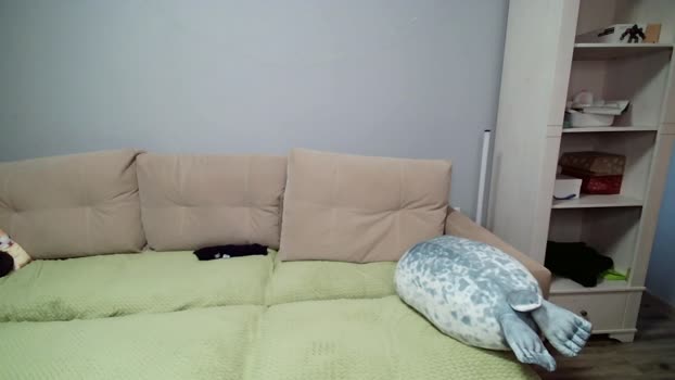 high_of_guys 24-07-2025 video jerking