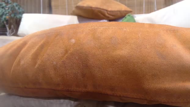 biengrossa 27-07-2025 video spank