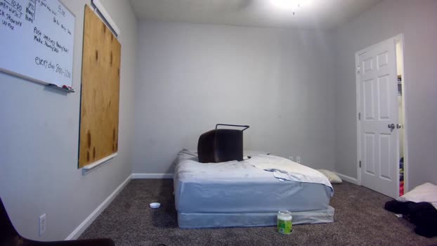 itstarzan 28-07-2025 video horny