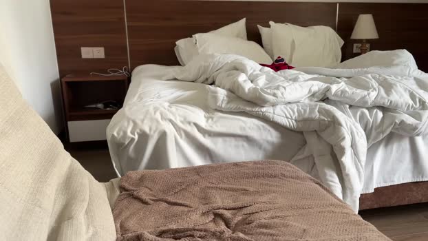 alexwos 29-07-2025 video oral