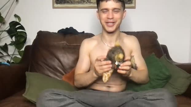 camdoattitude 29-07-2025 video juicy