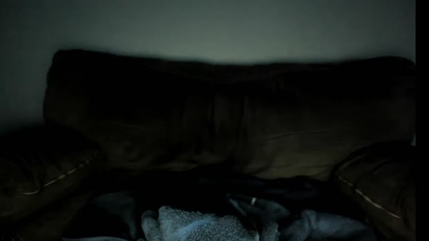 lydong 29-07-2025 video Ass