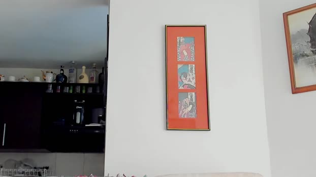 dante_franco 29-07-2025 video fingering