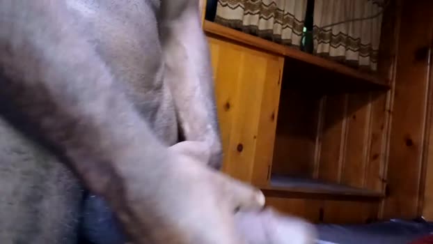 columbusohio614 02-08-2025 video beauty