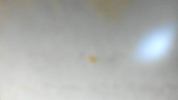 simon_lola 02-08-2025 video lick