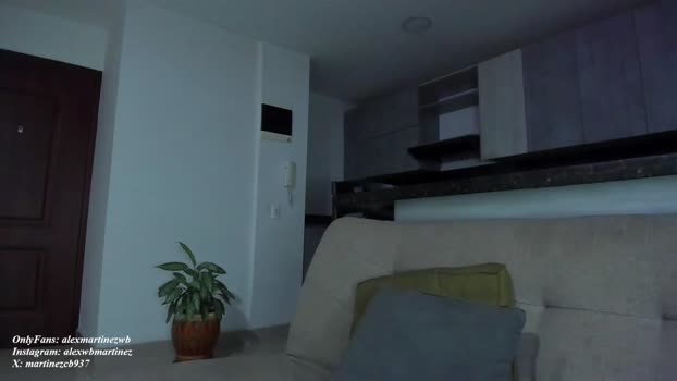 alexander_martines 03-08-2025 video toy