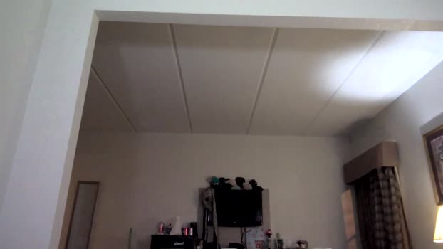 high3ndlowlife 03-08-2025 video Ass