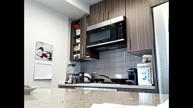 info_chat 03-08-2025 video Webcam