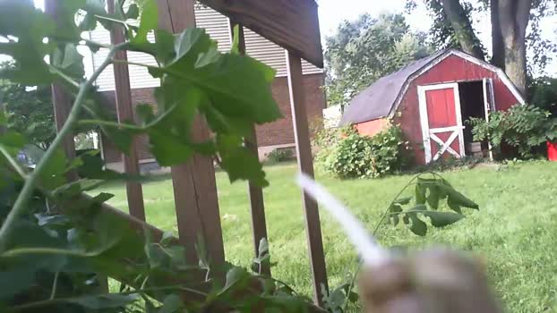 b3astboi 06-08-2025 video show