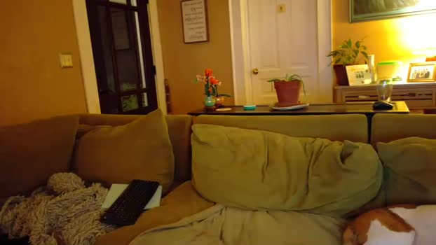 fuckadilf 06-08-2025 video Naked