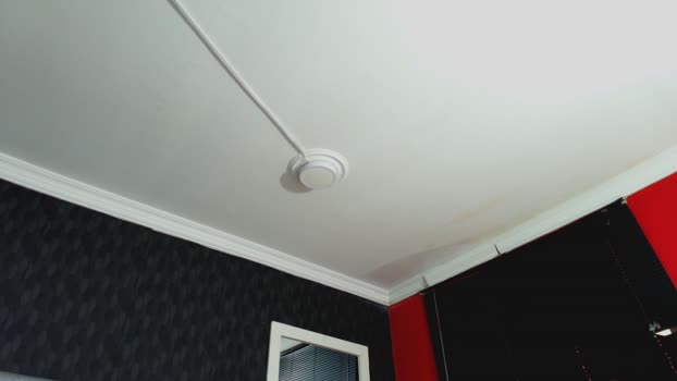 dylanlenox 07-08-2025 video show