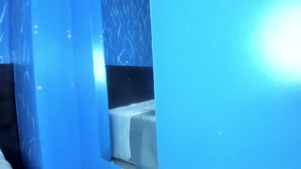 tachala_ 09-08-2025 video gag