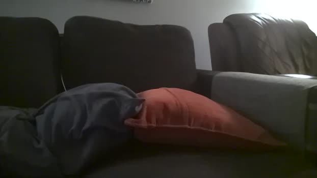 hairiestbear 11-08-2025 video fuckface