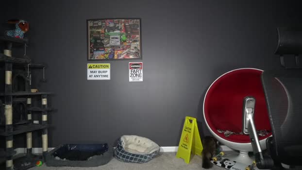 sydaffect 12-08-2025 video hot