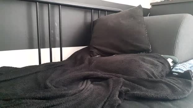 apollobest77 15-08-2025 video naughty