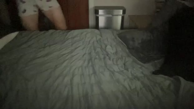 goldensteak7 16-08-2025 video cute