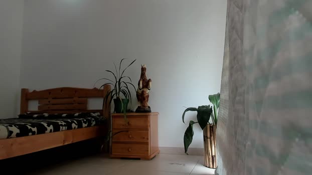 noahbrawn 15-08-2025 video bj-dildo