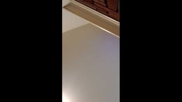 bogeygeneral1