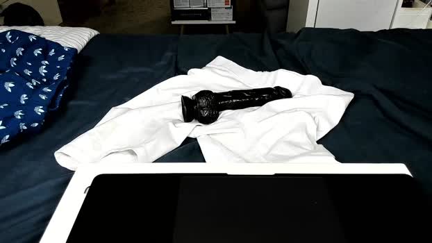 cockheadstud 18-08-2025 video juicy